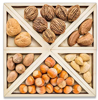 The Nut Association We Are Industry In Uk English Walnut Versus Black Walnut Png Nuts Png