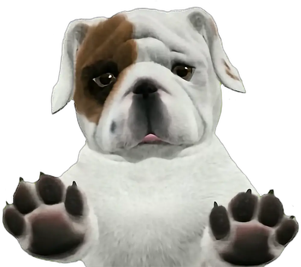 Download Bulldog Puppy Transparent Background Dogs Png Png Transparent Background Dogs Png Dogs Png