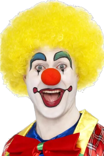 Download Hd Clown Wig Png Wwwimgkidcom The Image Kid Has It Clown Orange Clown Hair Png