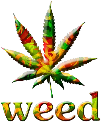 Cannabis Social Club Csczotumnet Weed Leaf Black Png Marijuana Plant Png