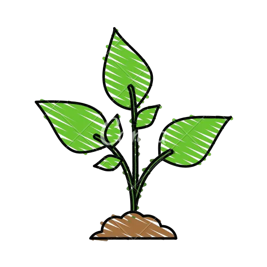 Cartoon Plant Clipart Full Size Clipart 2874321 Plant Cartoon Png Marijuana Plant Png