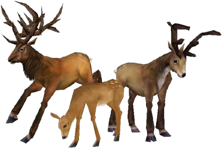 Deer Wowpedia Your Wiki Guide To The World Of Warcraft World Of Warcraft Deer Png Deer Png