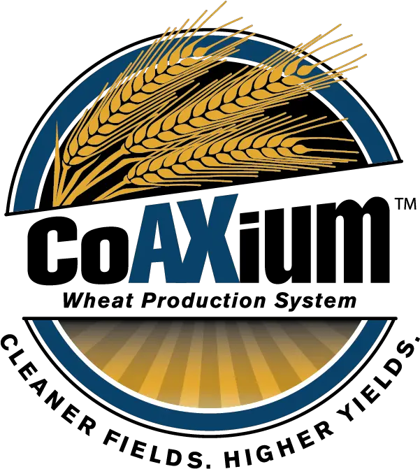 Lcs Photon Ax Limagrain Cereal Seeds Mini Titan Png Wheat Logo