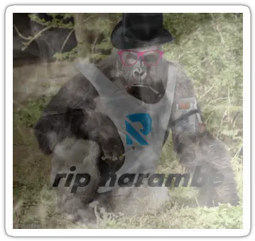 Rip Harambe Png Transparent