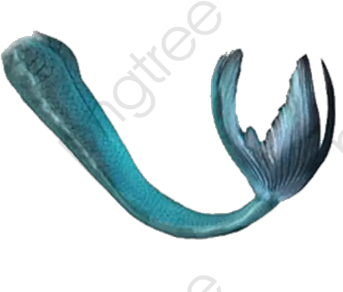 Download Free Png Swimming Mermaid Tail Realistic Mermaid Tail Png Mermaid Tail Png