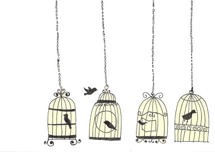 Image About Beautiful In Bit Of Everything By Apieceofparadise Bird In Cage Drawing Png Bird Cage Png