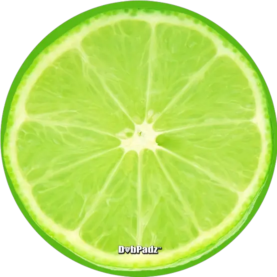 Lime Slice Lime Slice Png Lime Slice Png