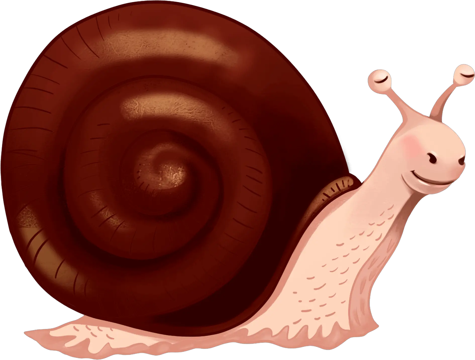 Snail Clipart Free Download Transparent Png Creazilla Clipart Limak Snail Transparent