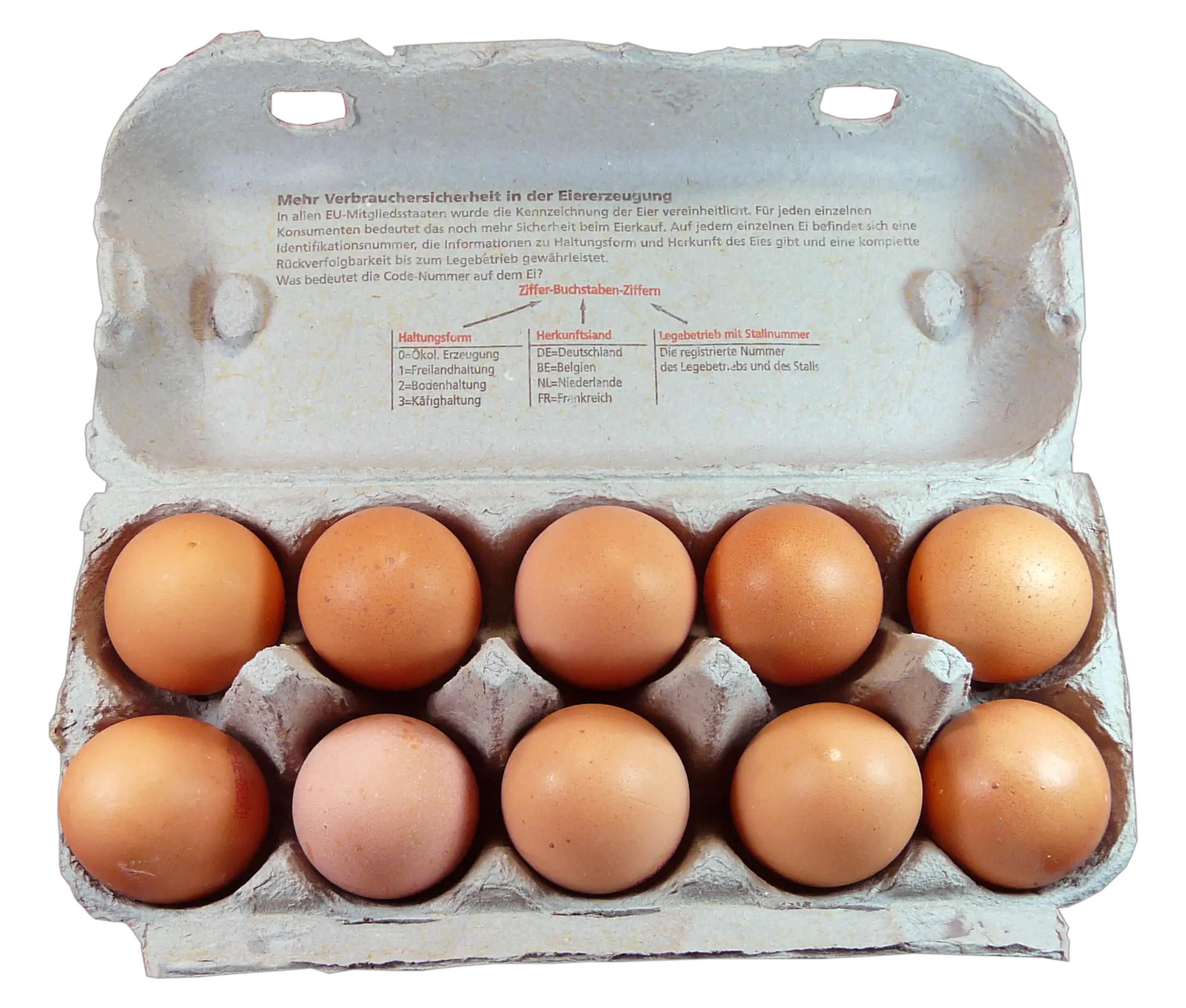 Free Images Toppng Transparent Eggs Box Png Transparent Eggs Transparent Background