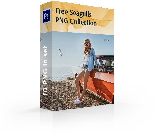 Free Seagull Png Flyer Seagull Png