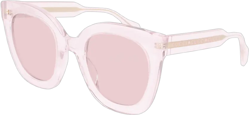 Gucci Seasonal Icon Gg0564s 005 Gg 0564s 005 Png Goggles Icon