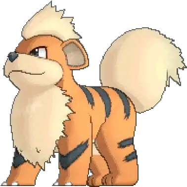 Vp Pokémon Thread 28486088 Pokemon Growlithe Gif Png Arcanine Transparent