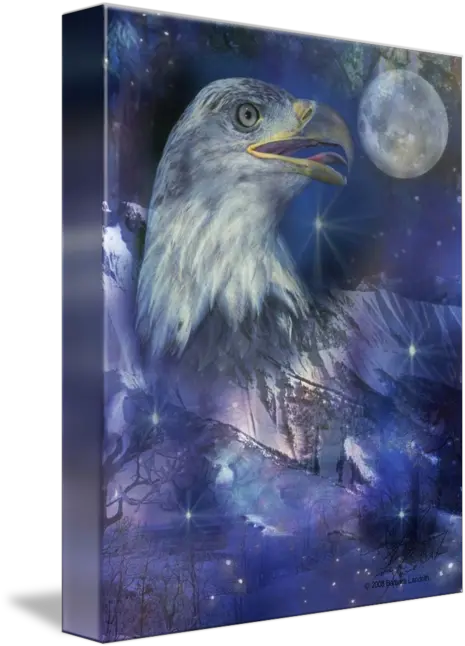 American Eagle Bald Eagle Png Spread Eagle Icon