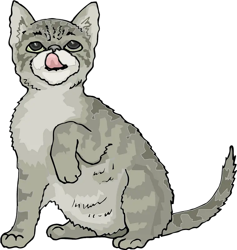 Grey Kitten Clipart Free Download Transparent Png Creazilla Grey Kitten Cipart Kitten Transparent