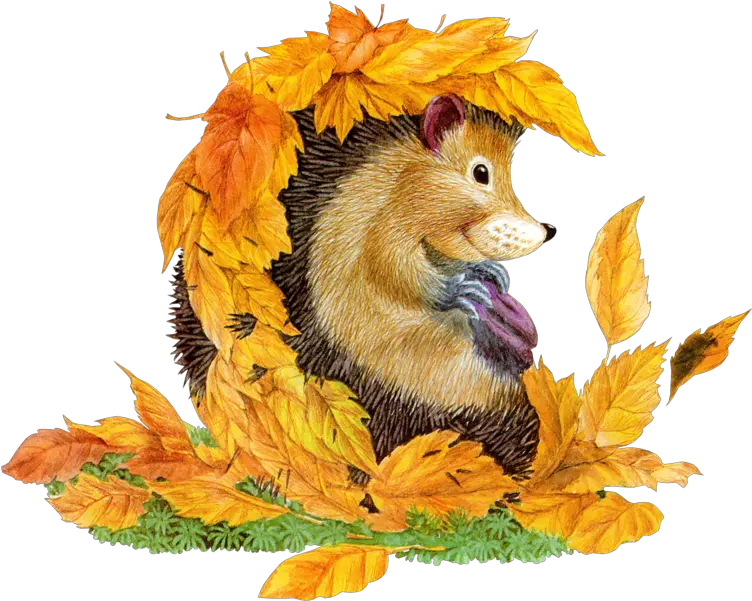 Autumn Hedgehog Psd Official Psds Cartoon Animals Png Hedgehog Transparent