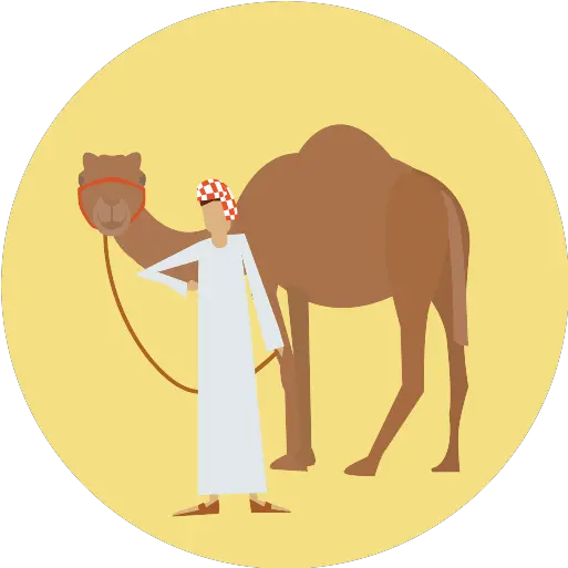 Recent Camel Png Icons And Graphics Png Repo Free Png Icons Vector Camel Icon Png Camel Png