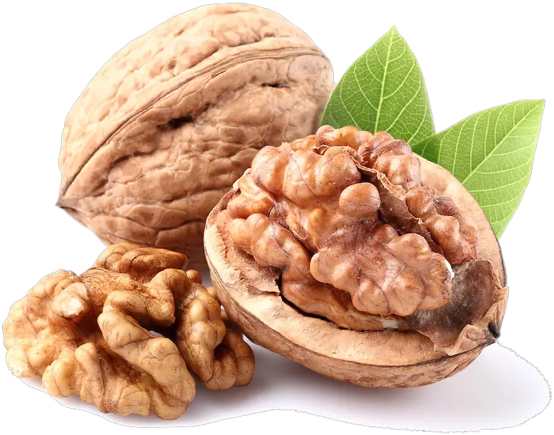 Download Pacific Nut Producer Magazine Imagen De Nuez Png Nut Png