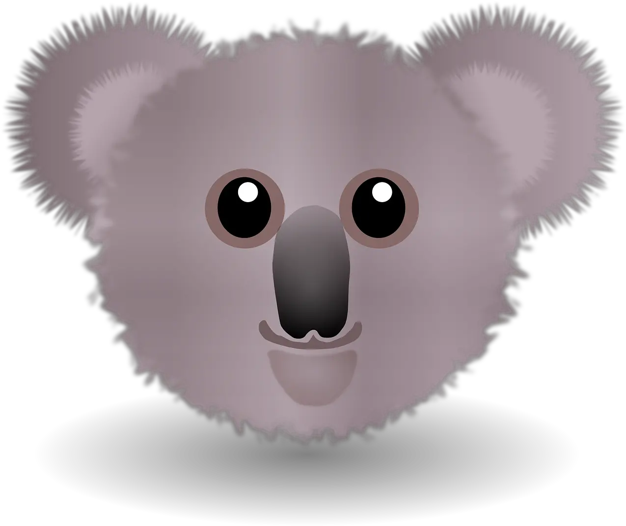 Download Free Png Australia Koala Bear Fact For Kid Koala Koala Bear Png