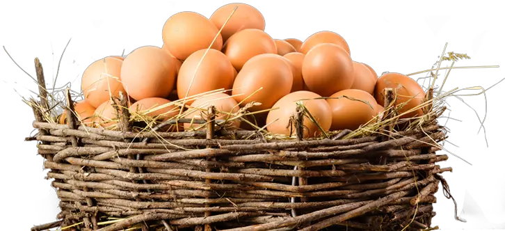 Download Organic Eggs Png Image Stock Financial Eggs In A Basket Basket Png