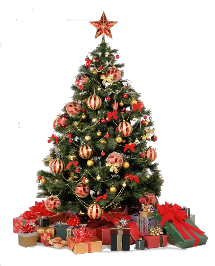 Charlie Borwn Christmas Tree Png