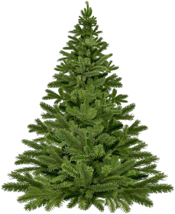 Chalk Christmas Tree Png