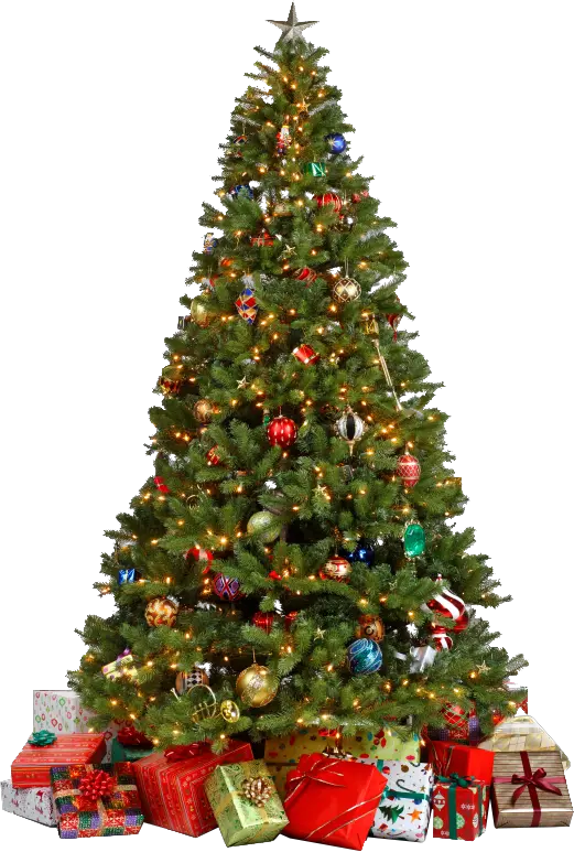 1950s Christmas Tree Photo Png