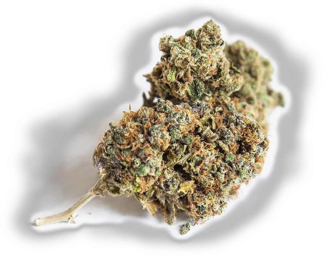 Auto Cure Cannabis Nug Png Weed Transparent Background