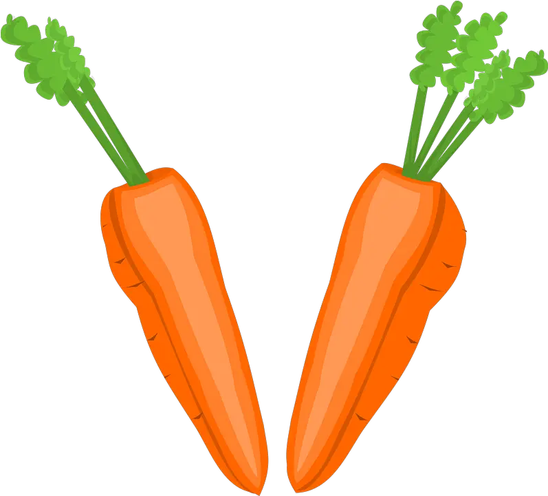 Carrot Png Images Carrots Clipart Free Download Free Clipart Different Vegetables Carrot Transparent Background