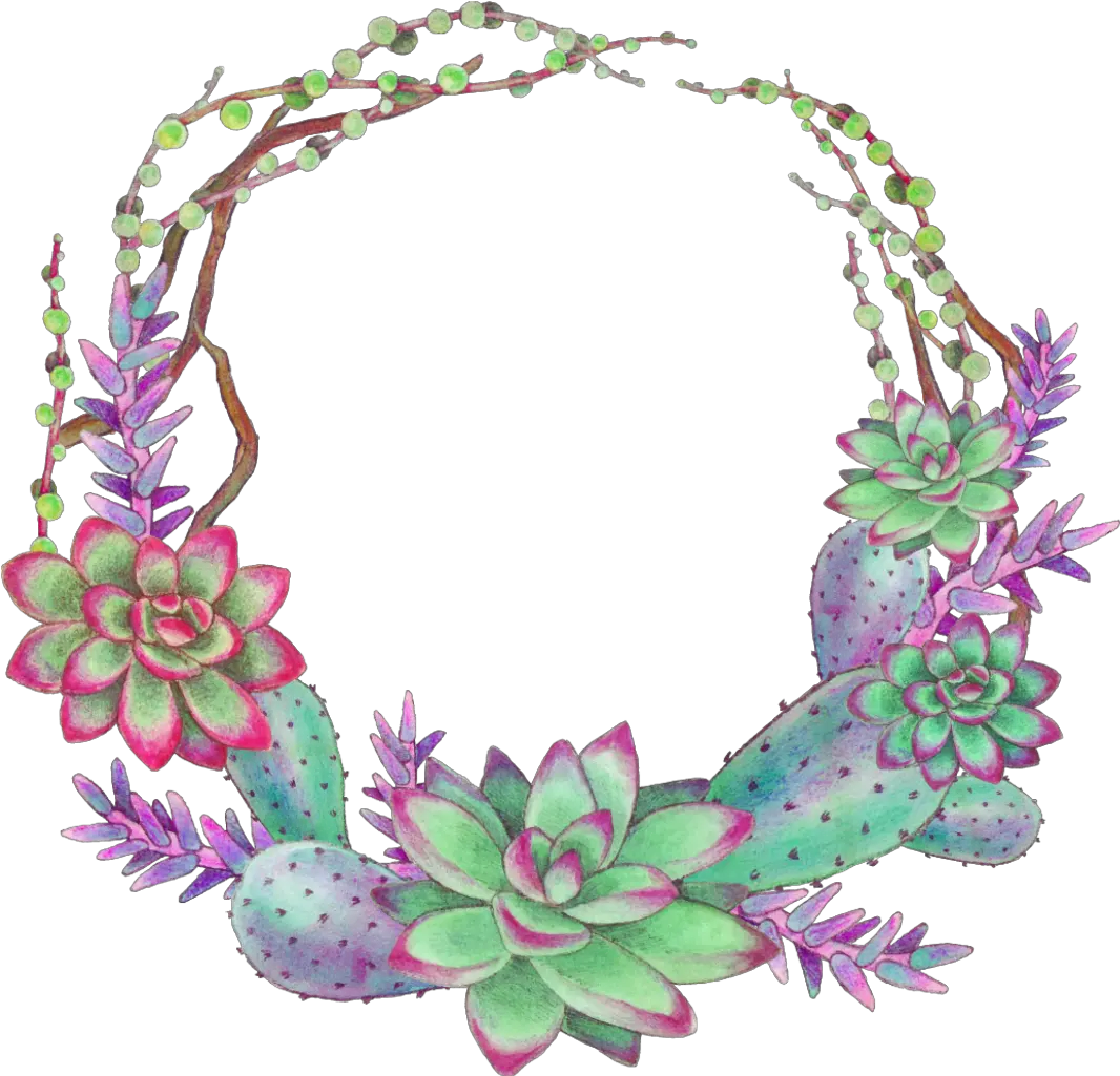 Ftestickers Scsucculent Succulents Wreath Colorful Succulent Wreath Clipart Png Succulents Png