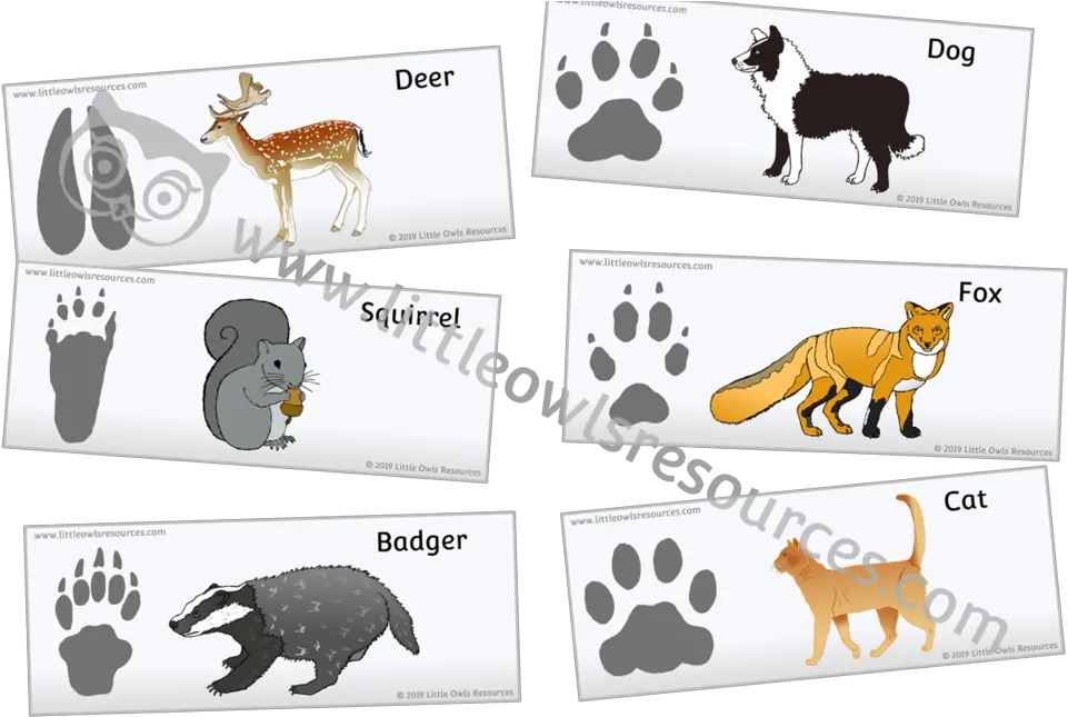 Free Animal Footprints In The Snow Printable Early Yearsey Animal Footprints Png Foot Prints Png