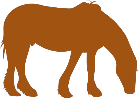 Orange Horse Silhouette Transparent Png U0026 Svg Vector File Horse Orange Silhouette Png Horse Silhouette Png