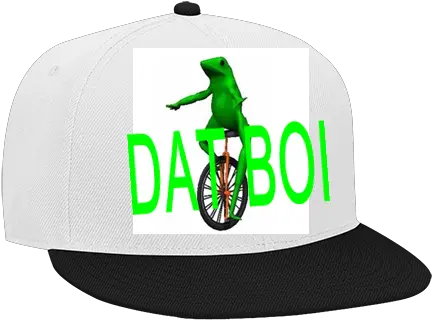 Dat Boi Wool Blend Snapback Flat Bill Hat Mountain Bike Png Dat Boi Transparent