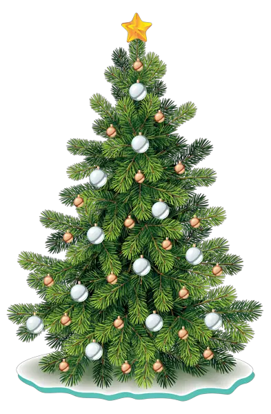 Christmas Tree On Car Png