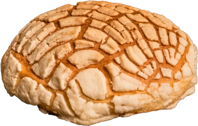 Conchas Pan Png 3 Image Cartoon Concha Pan Png