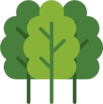 Ecotree Elearning Chapter 1 Picto Arbre Png Fear Effect Icon