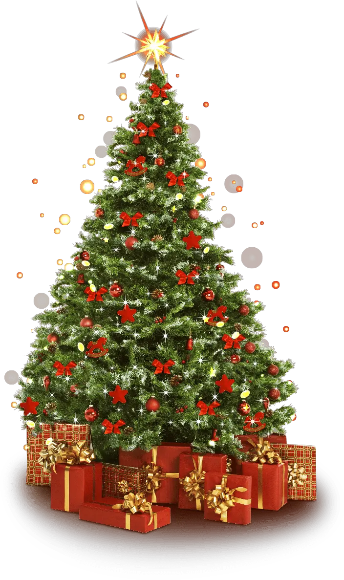 Christmas Tree Png Outline