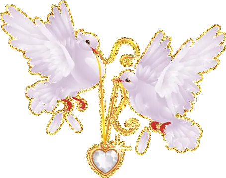 Transparent Dove Tumblr Png