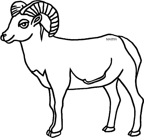 Mountain Goat Clipart Sheep Desert Bighorn Sheep Bighorn Sheep Drawing Easy Png Goat Horns Png