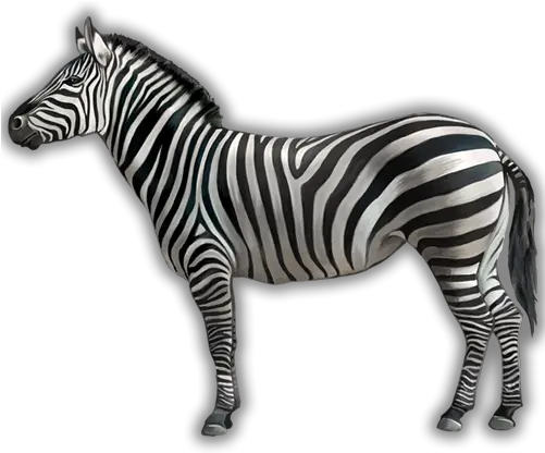 Is A Zebra White With Black Stripes Or Zebra White Or Black Png White Stripes Png