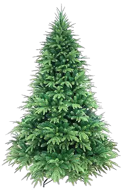 Christmas Tree Lights Png