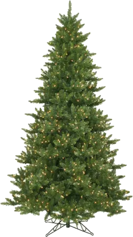 Christmas Tree Outline Png