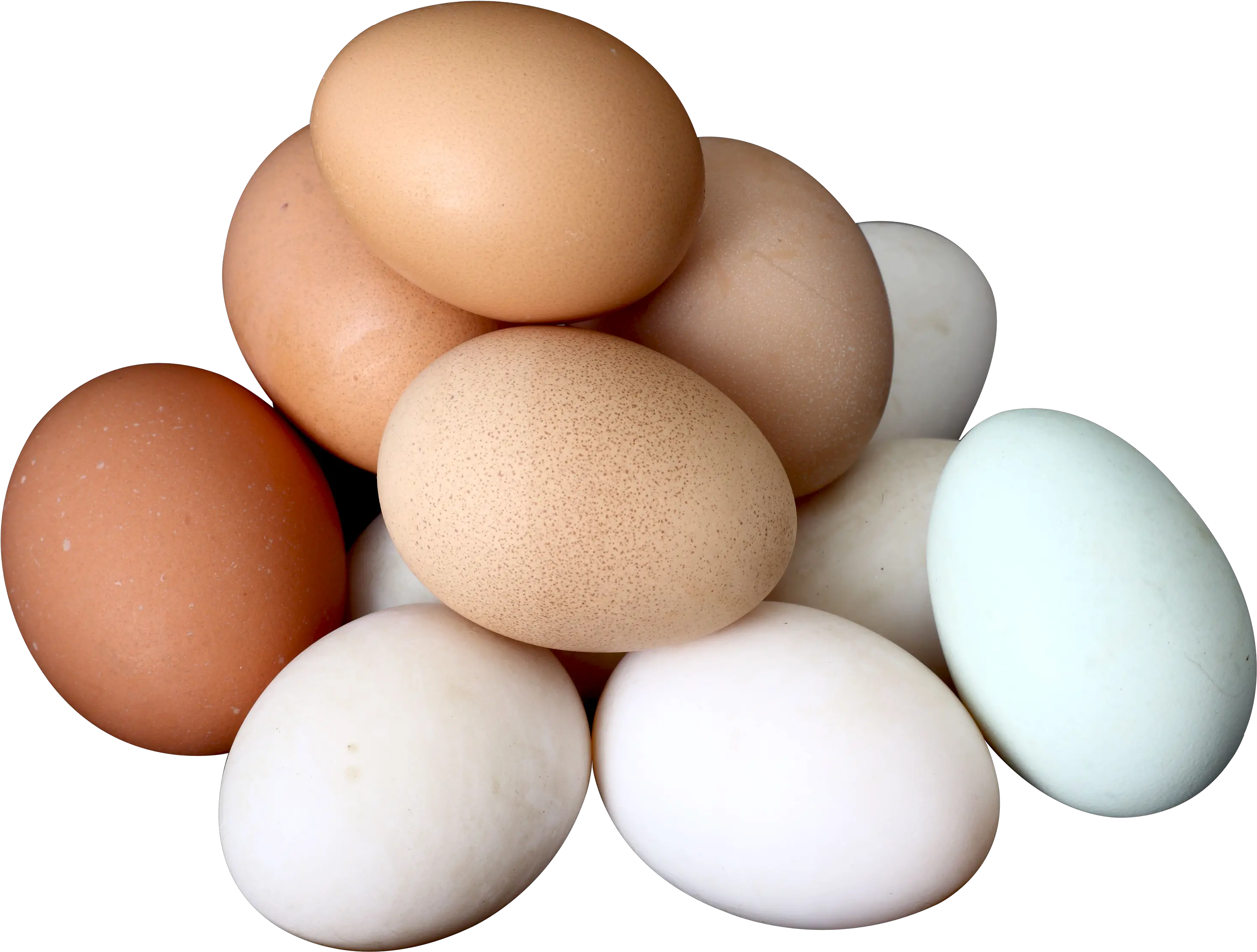 Eggs Png Eggs Png Eggs Transparent Background