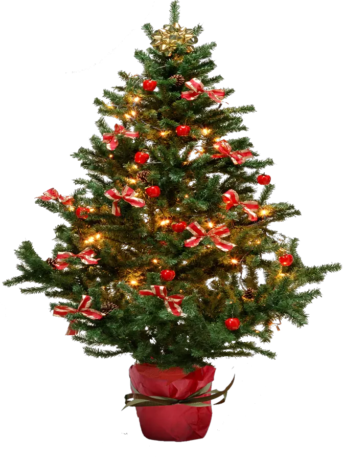 Christmas Ornament Png Transparent