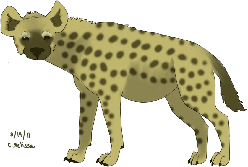 Download Hyena Png Images Hyenas Hyena Png