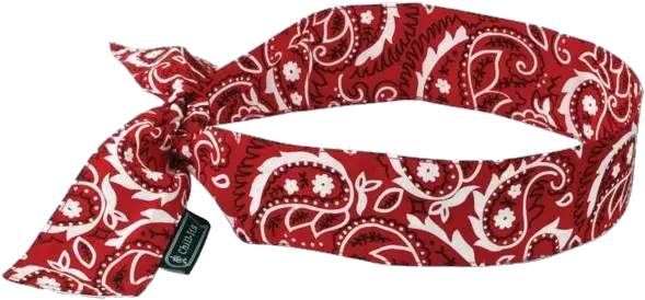 Chill Red Neck Bandana Transparent Png Red Bandana Png