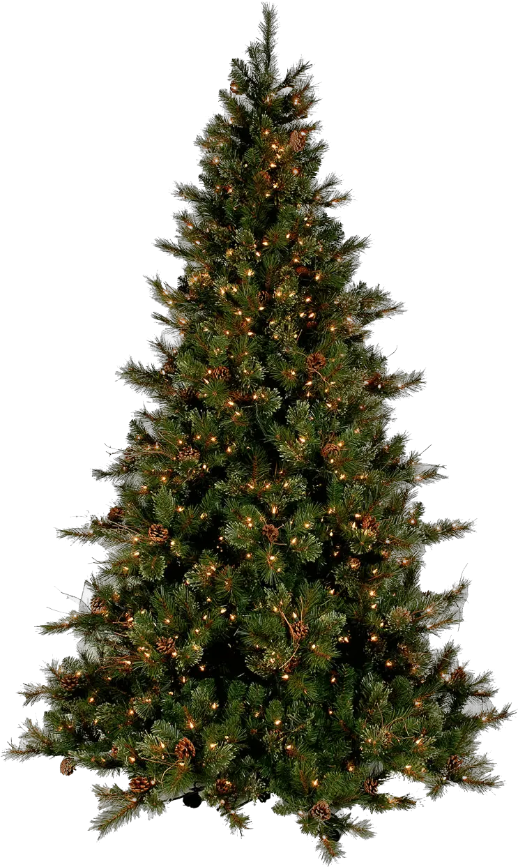 Christmas Border Free Png