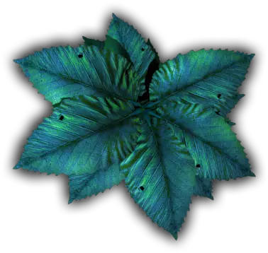 Index Of Mappingterrainplantstropicalblue Maple Leaf Png Tropical Plants Png