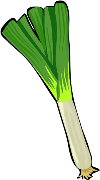 Vegetables Clipart Leek Clipart Png Clipart Png