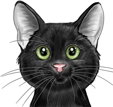 Big Cat Designs Black Cat Png Cat Face Png