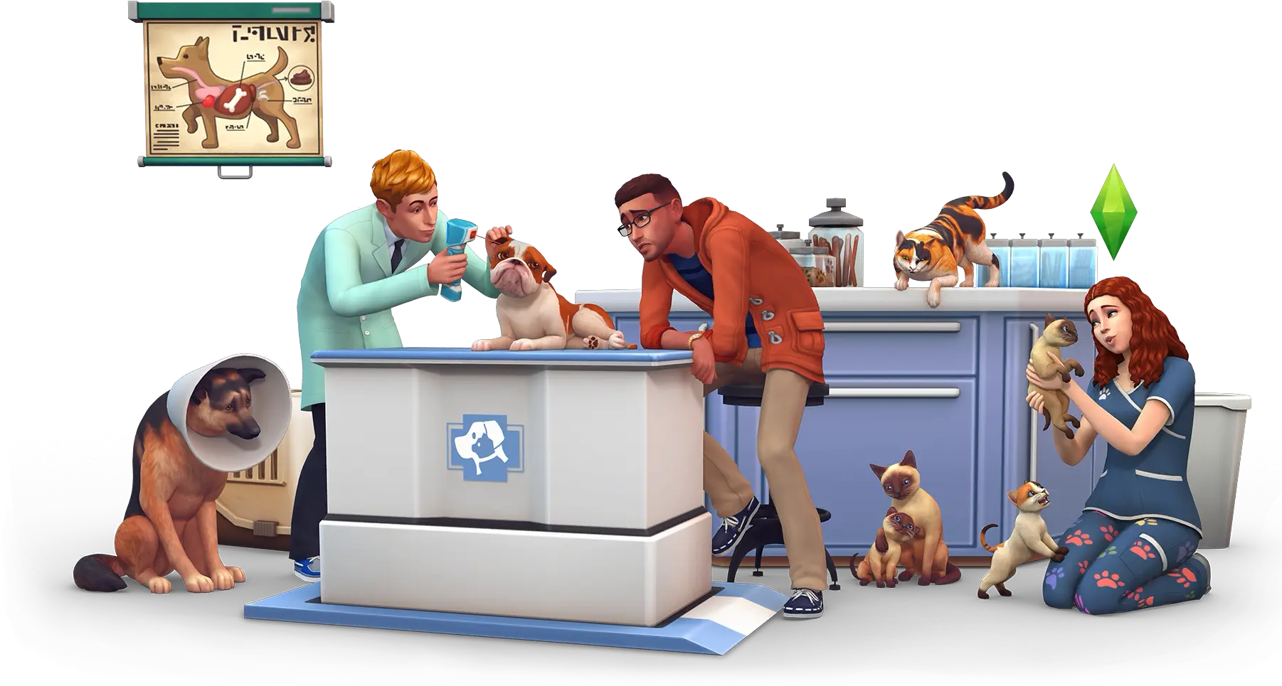 Vet Render Sims Four Wicked Whims Animations Png Dogs Transparent